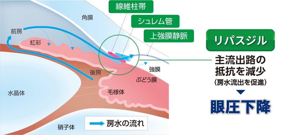 主流出路からの房水流出促進